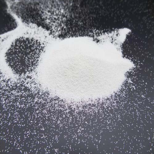 DSC02430_نسخة-600x450